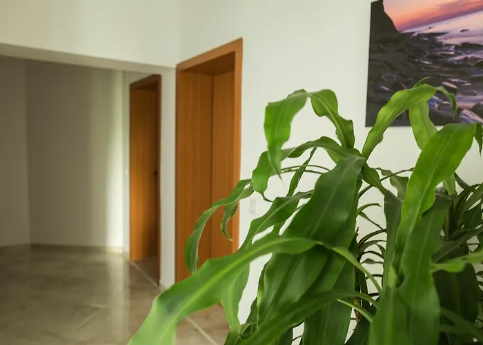 Martina Guest house 3*